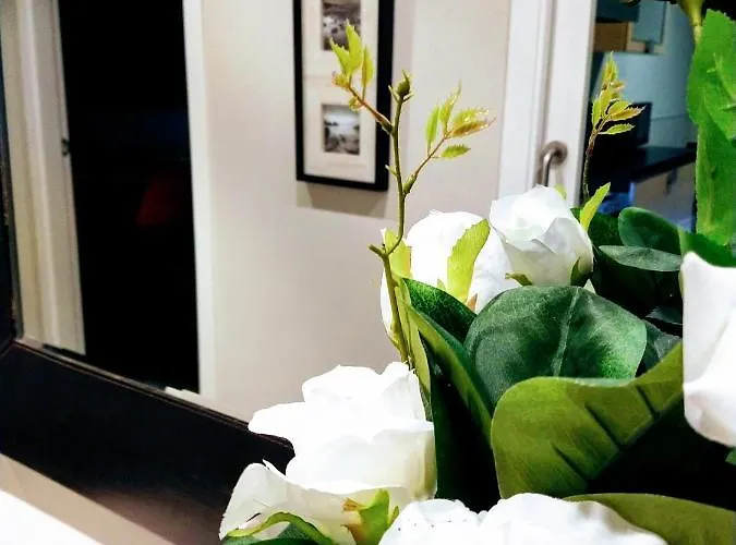 Vivienda 3a Edificio Marina Daire *